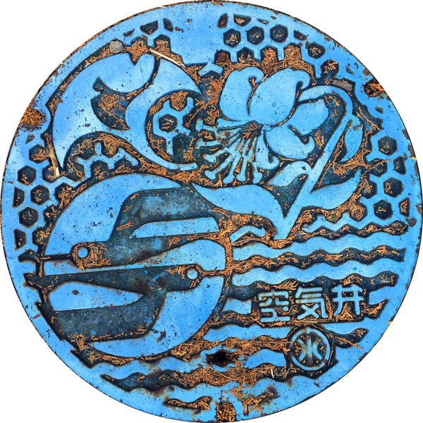 PROJECT JAPAN - Hakone, Japan - Sewer Cover Doormat