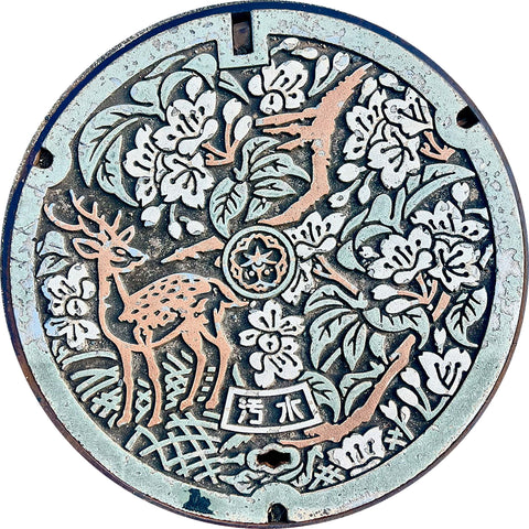 NEW! PROJECT JAPAN - Nara, Japan - Sewer Cover Trivet