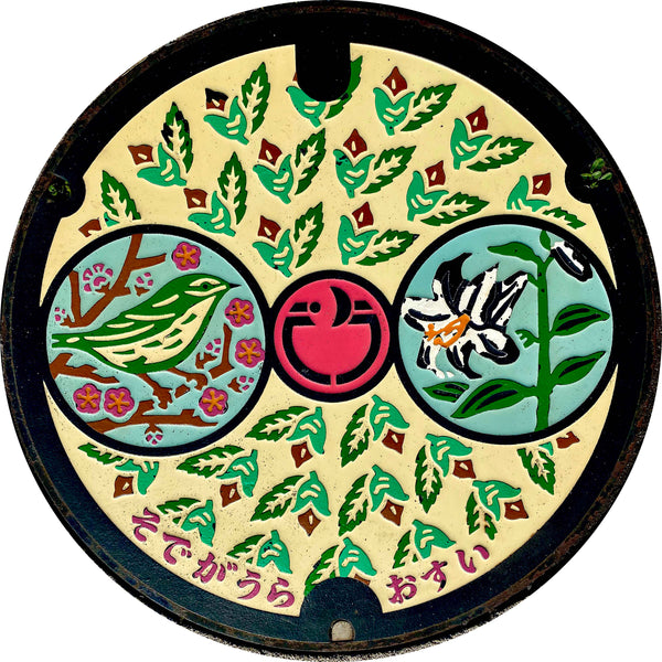 PROJECT JAPAN - Sodegaura, Chiba - Sewer Cover Trivet