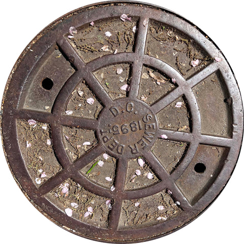 PROJECT EAST - Washingtons, DC "Springtime" - Sewer Cover Coaster