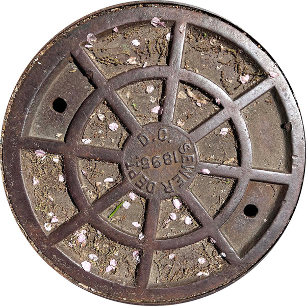 PROJECT EAST - Washington, DC "Springtime" - Sewer Cover Trivet
