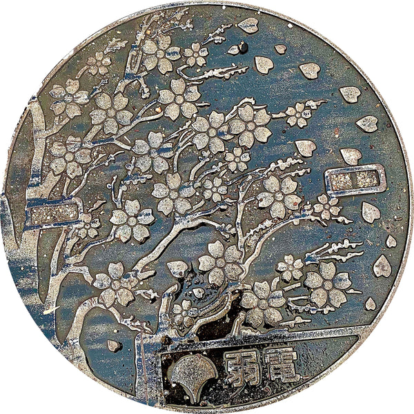 PROJECT JAPAN - Tokyo "Ueno Flowers", Japan - Sewer Cover Doormat